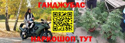 спайс Аргун