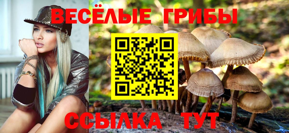Галлюциногенные грибы MAGIC MUSHROOMS  Вход с VPN  Воронеж 